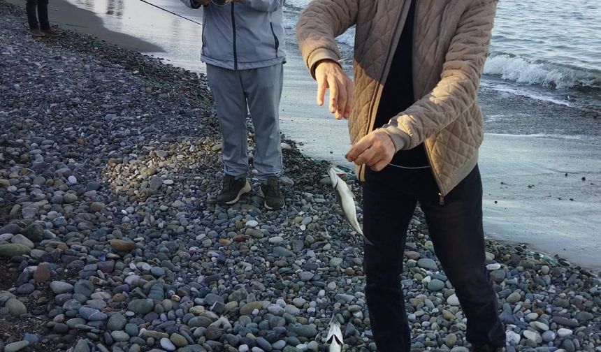 Denizdeki kafes yırtıldı, amatör balıkçılar sahile indi