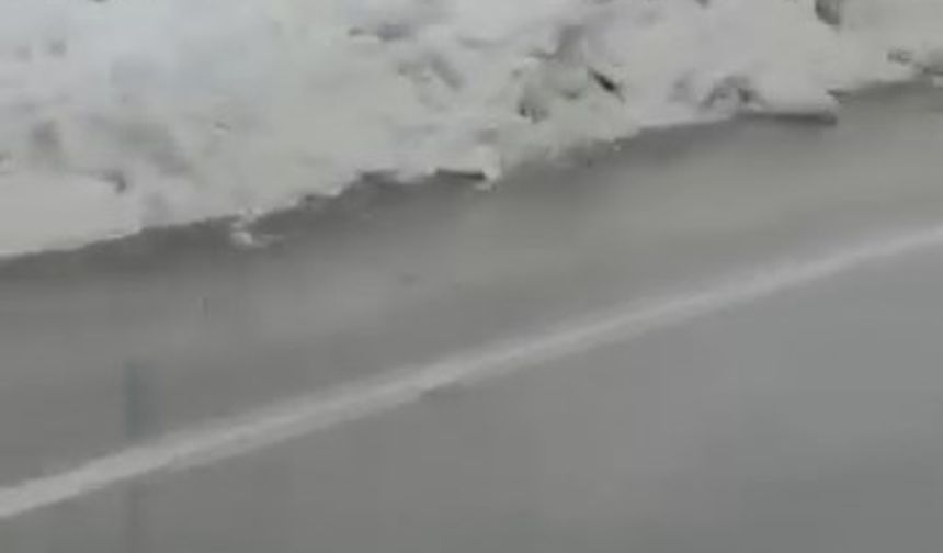 Diyarbakır'da 4 araçlı zincirleme kaza: Yaralılar var