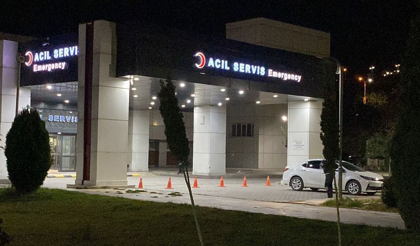 Elazığ'da tren kazası can aldı