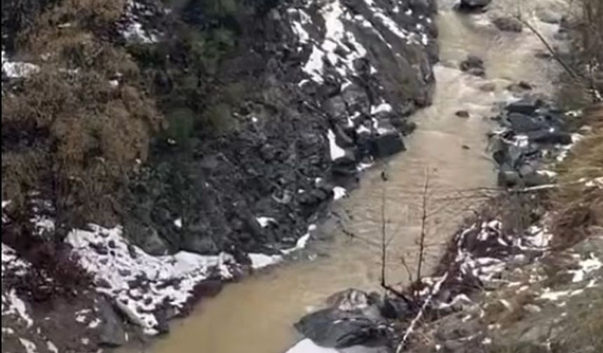 Hatay'da otomobil dereye uçtu