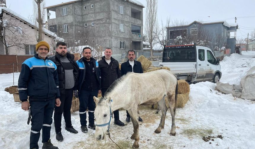 Hayvanlara sahip çıkan besiciye destek