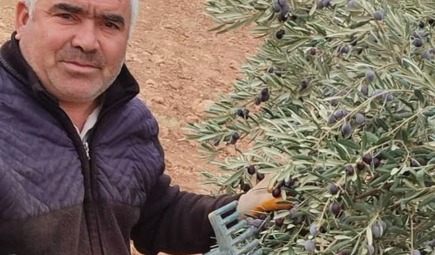 Oturduğu binanın asansör boşluğu mezarı oldu