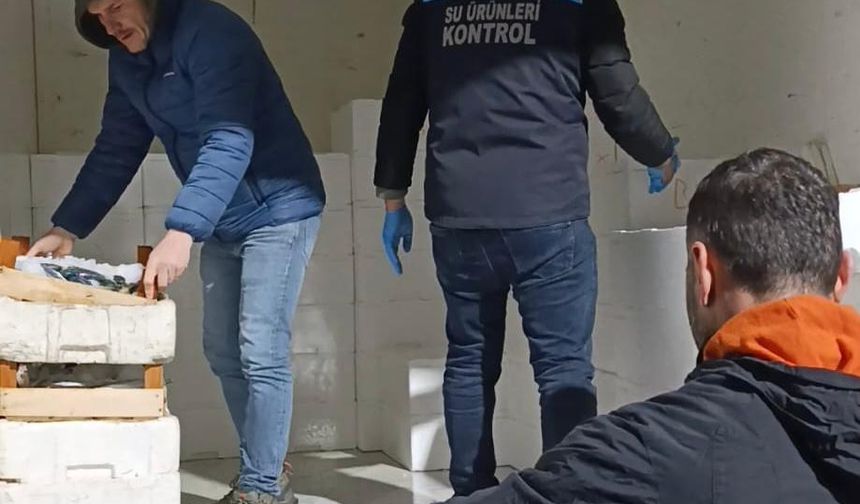 Samsun'da 2,6 ton mezgide ek konuldu