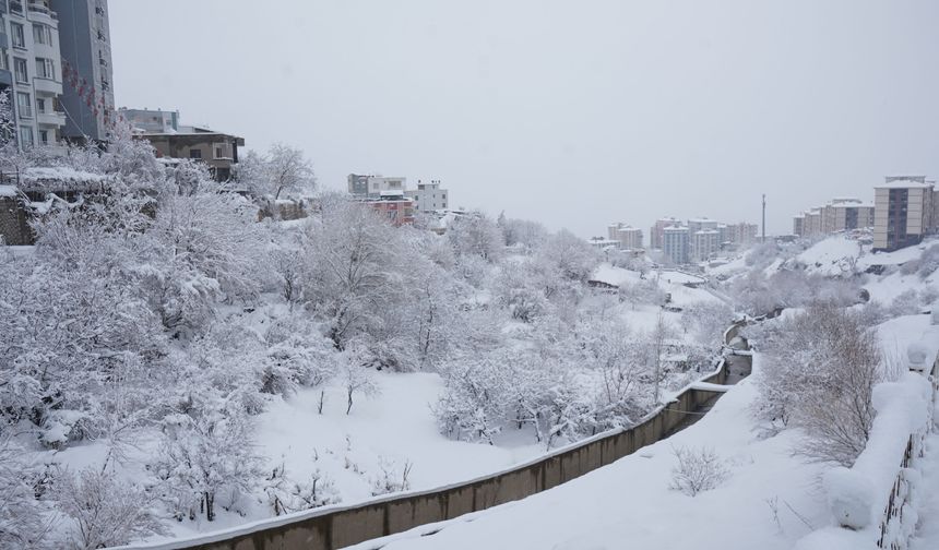 Şırnak'ta uçuşlar iptal edildi