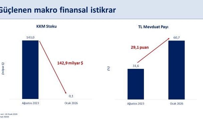 Türkiye'nin rezervleri tarihi zirvesinde
