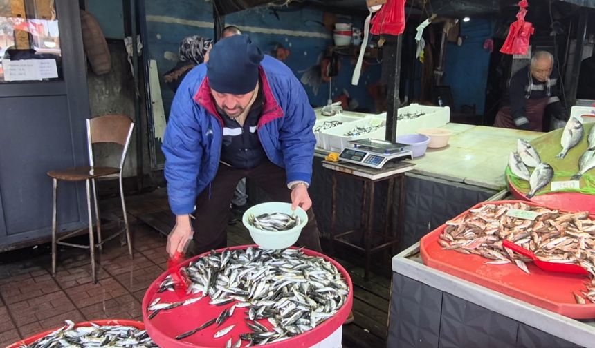 Zonguldak'ta balıkçılar denize açılamadı