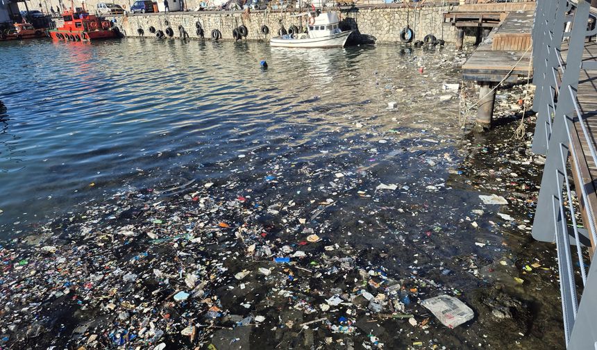 Zonguldak'ta dev dalgalar yolu çatlattı