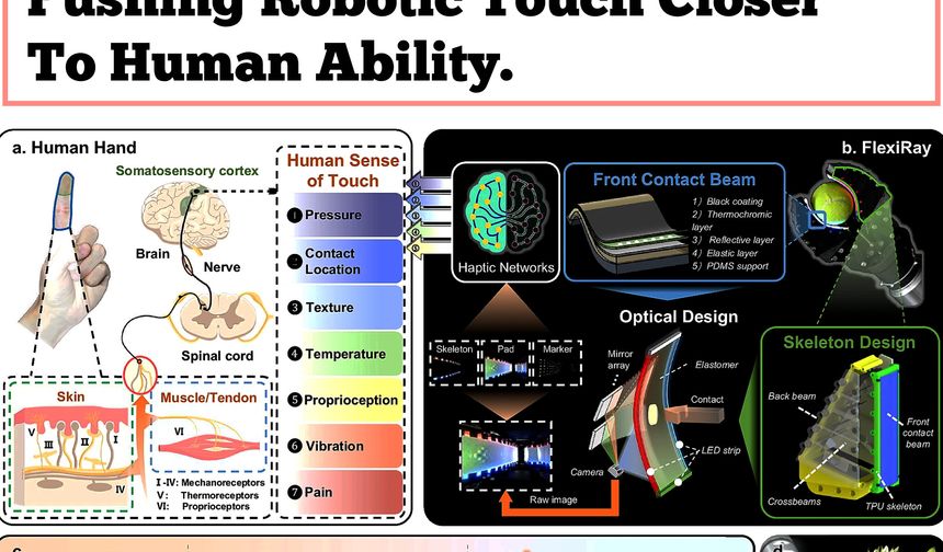 Yumuşak Robotikte Çığır Açan Dokunuş: FlexiRay İnsan Duyusuna Yaklaşıyor