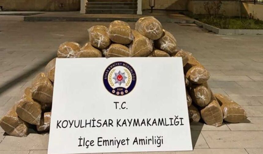 Sivas'ta 200 kilo kaçak tütün ele geçirildi