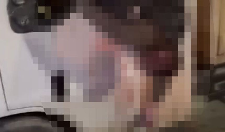 Adana'da kamyonet ile otomobil çarpıştı