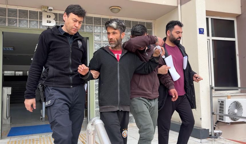 Aydın'da buzağı hırsızlığı