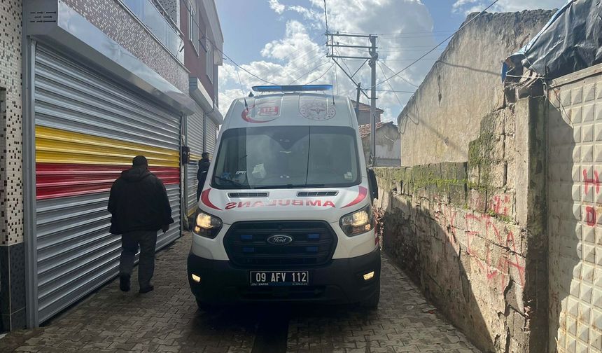 Aydın'da korkutan yangın