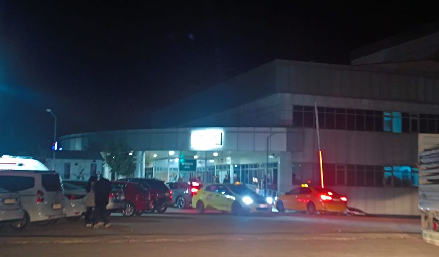 Bingöl'de Otomobil Refüje Çarpıp Takla Attı