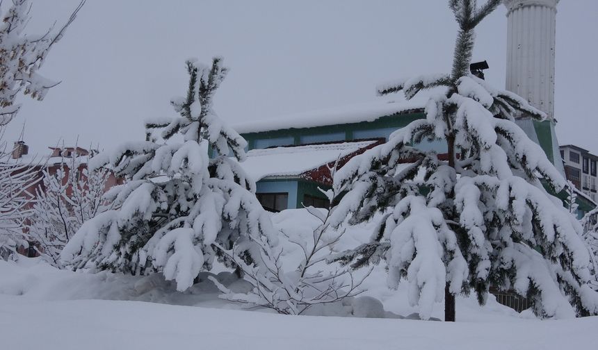 Bitlis ve Van'da yoğun kar yağışı yolları kapattı