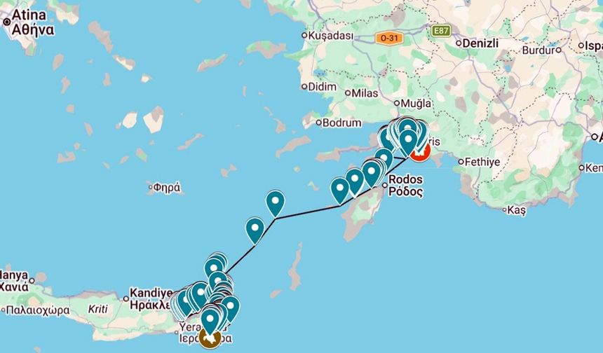 Caretta caretta 'Cumhuriyet'i 10 bin kişi izledi