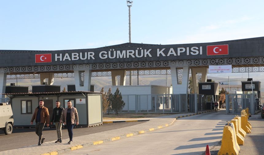 Habur'da 41 kilo kaçak altın ele geçirildi