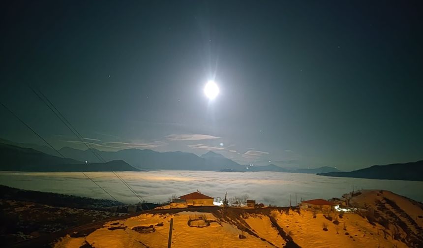 Hakkari'de yoğun sis