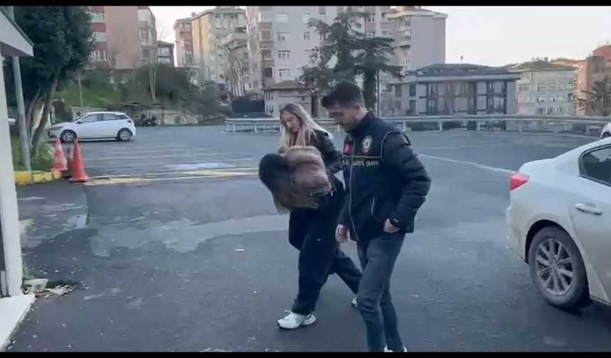 İstanbul'da Sahte oturum belgesi operasyonu