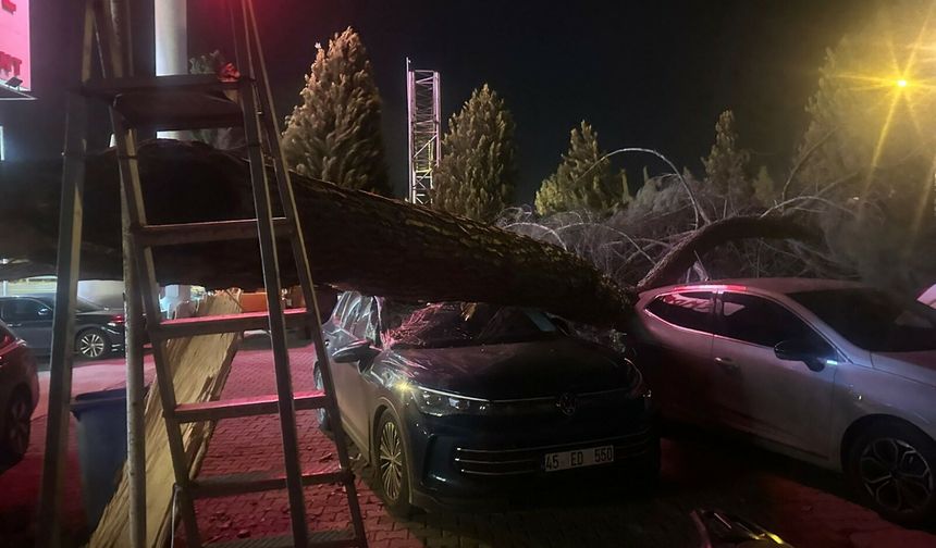 Manisa'da Ağaçlar Devrildi Minare Külahı Uçtu