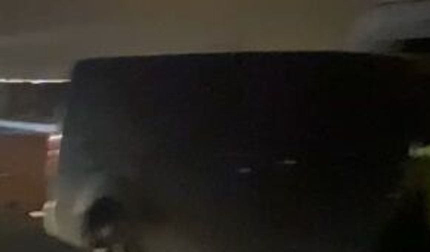 Minibüsün çarptığı 3 at öldü