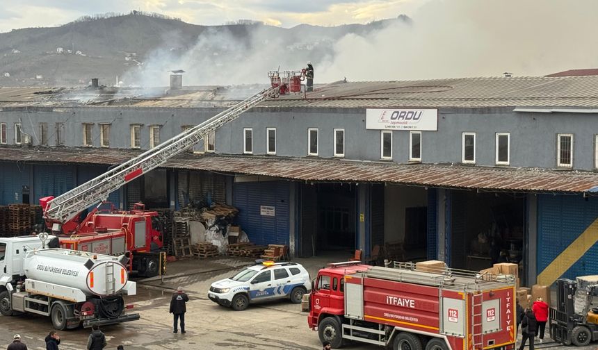 Ordu'da korkutan yangın