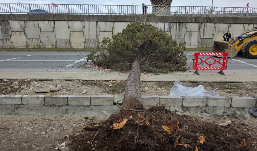 Rize'de korkutan fırtına