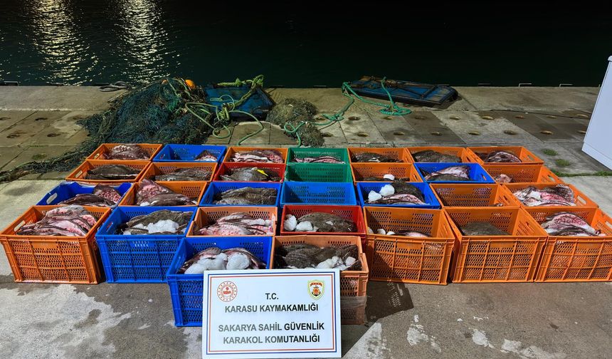 Sakarya'da kaçak kalkan balığı operasyonu
