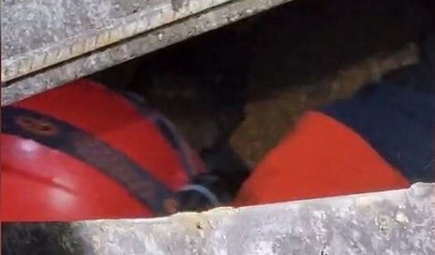 Şanlıurfa'da iş kazası can aldı