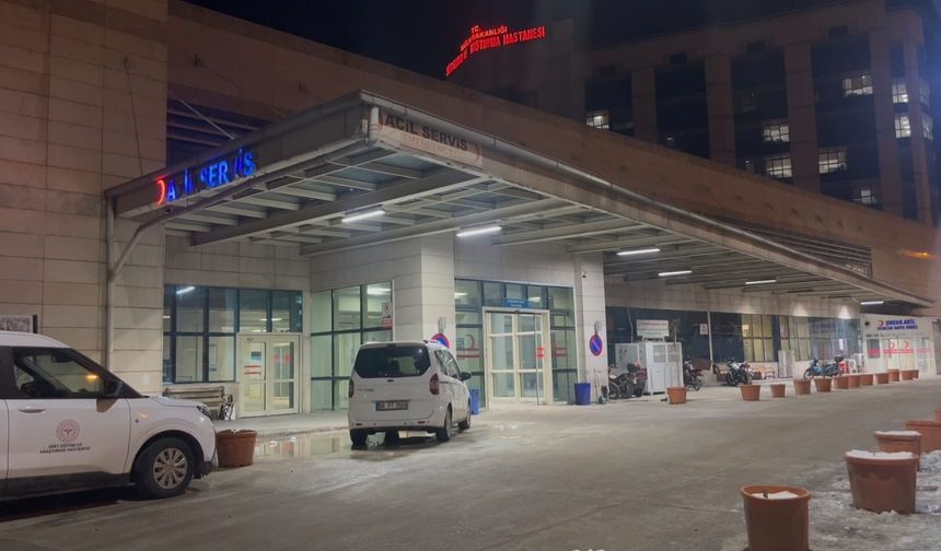 Siirt'te taşlı sopalı hayvan otlatma kavgası