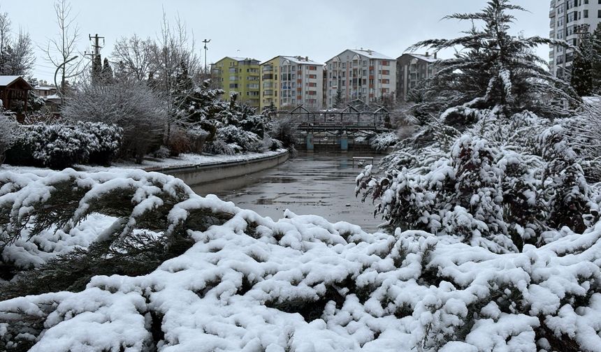 Sivas'ta kar yağışı hayatı olumsuz etkiledi