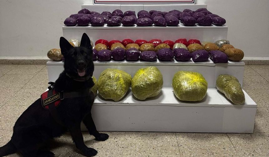 Van'da uyuşturucu operasyonu