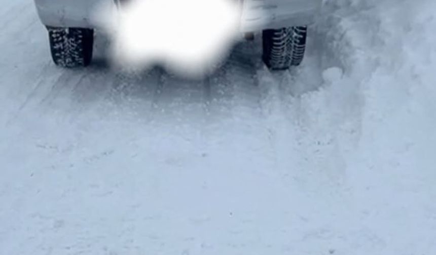 Van'da yasa dışı avcılık denetimi