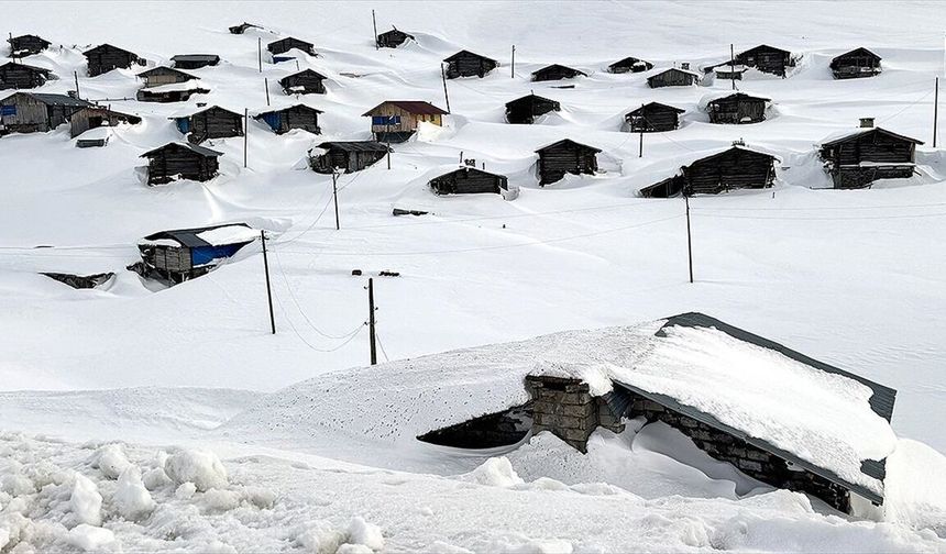 Ardahan ile Artvin beyaza büründü!