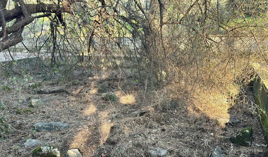 2 asırlık adak taşı yok oldu