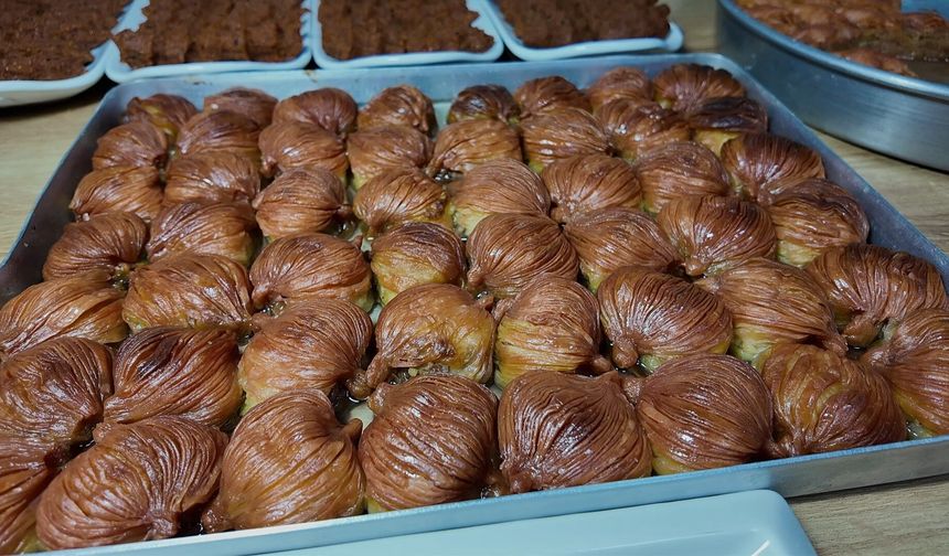 Bingöl'de 3 çocuk annesinin çocukluk tutkusu işi oldu