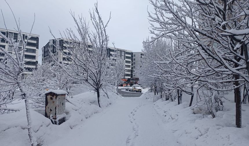 Bitlis beyaza büründü