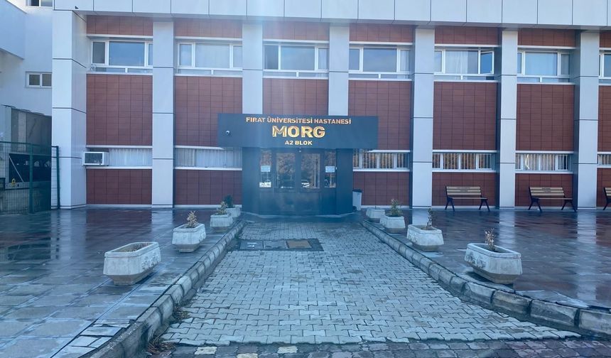 Oğlunu bıçaklayanı vurarak öldürdü