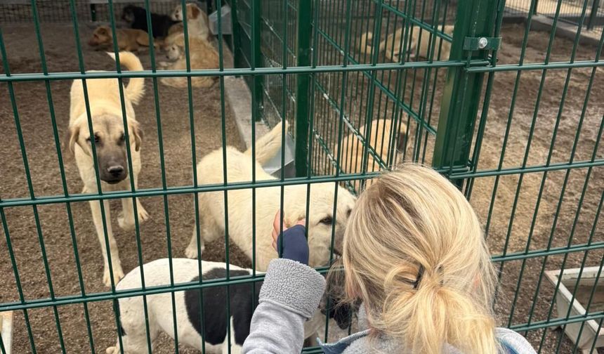 Sincan'da kötü şartlarda tutulan hayvanlara el konuldu