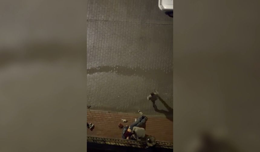 Tartıştığı kadını tabancayla yaralayıp intihar etti