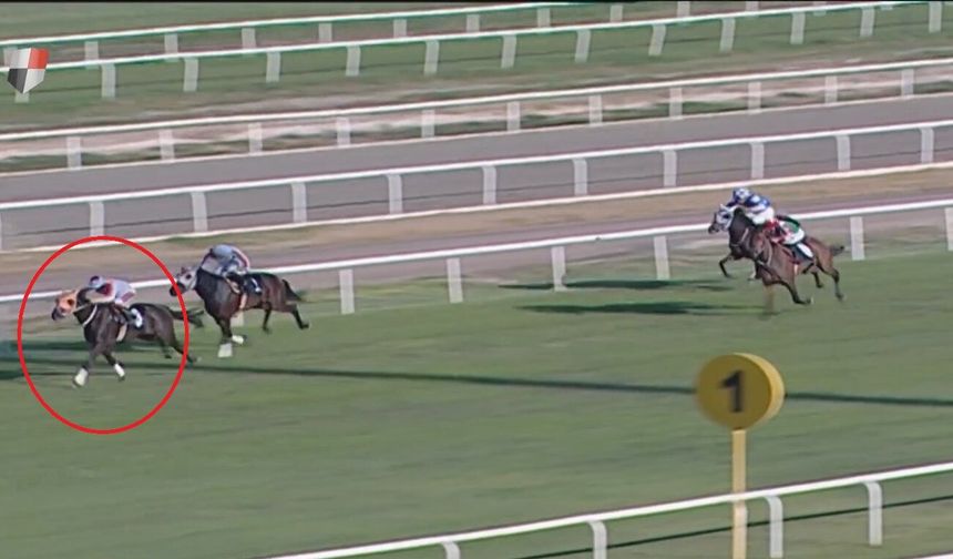 Yarış atı skandalında at sahibine idari para cezası