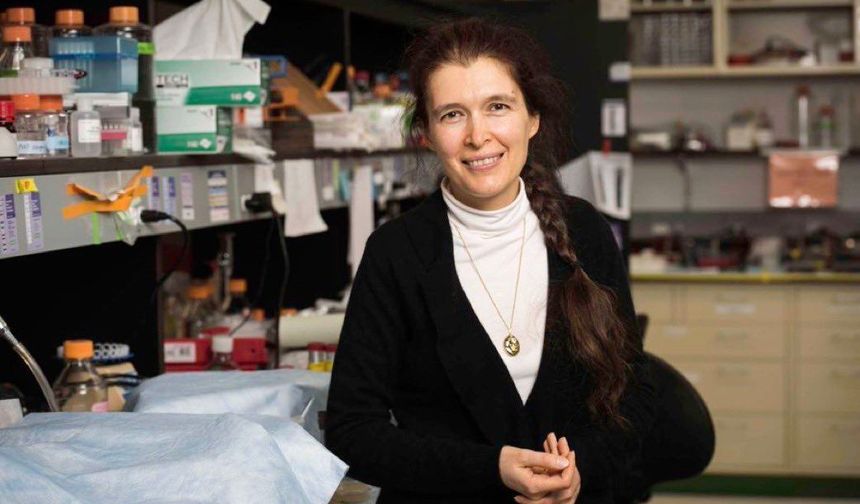 Uzun Yaşamın Kapısı Açıldı: Bilim İnsanları “Uzun Ömür Genini” Başarıyla Nakletti