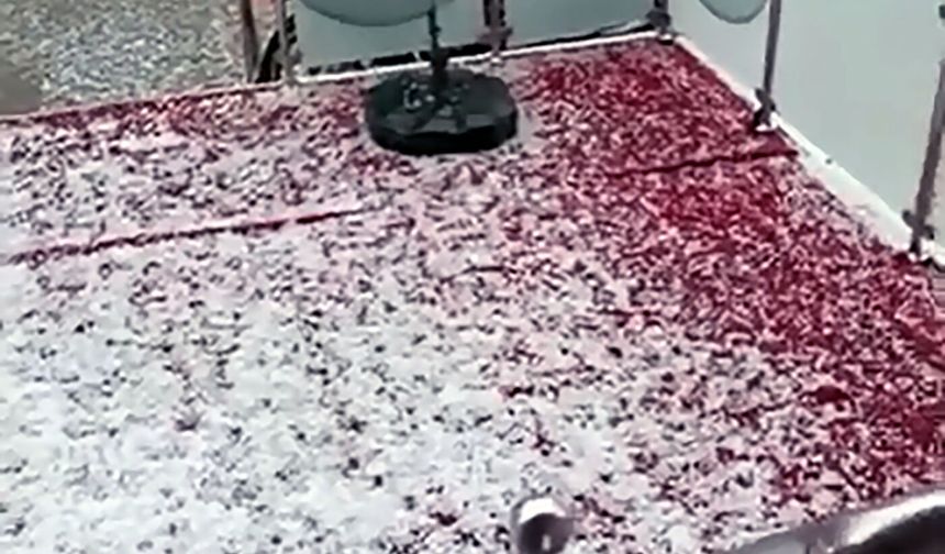 Adana sokakları beyaza büründü