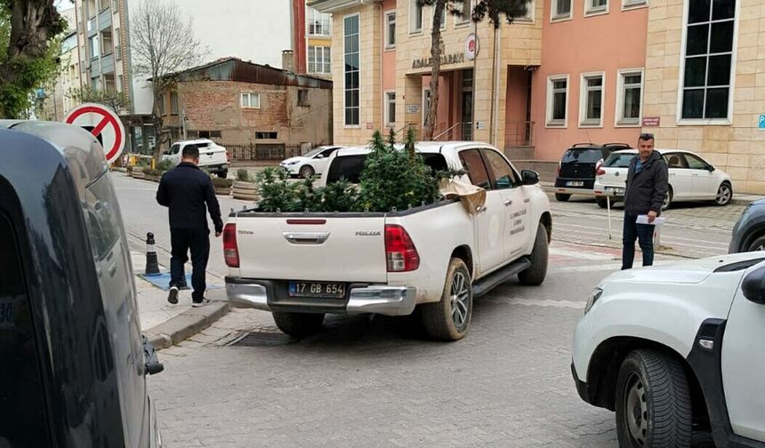 Apartman dairesinde uyuşturucu yetiştirenlere operasyon