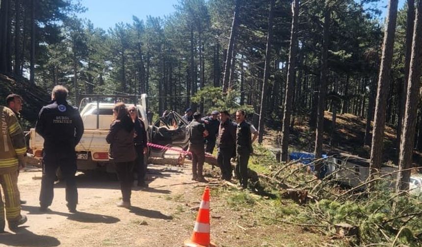 Bursa'da ormanda kaza can aldı!