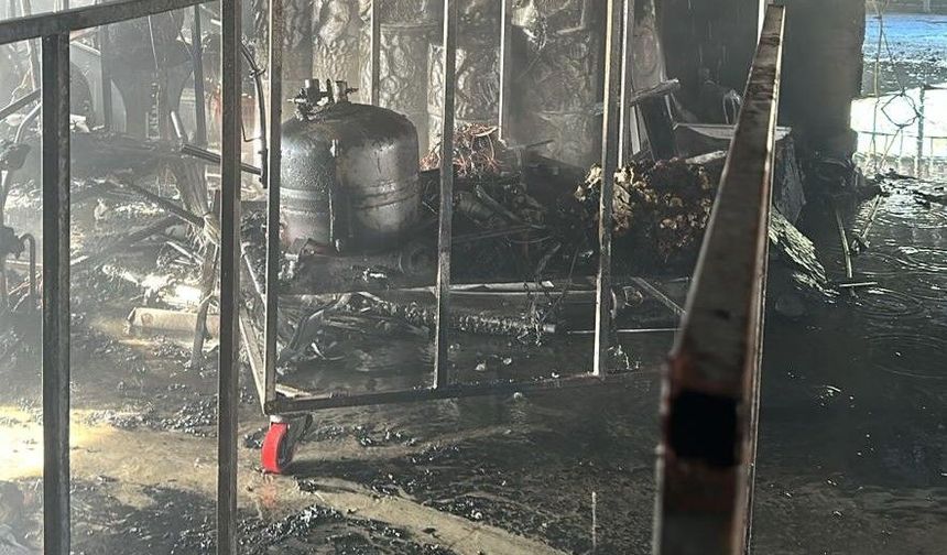 Samsun'da halı fabrikasında yangın