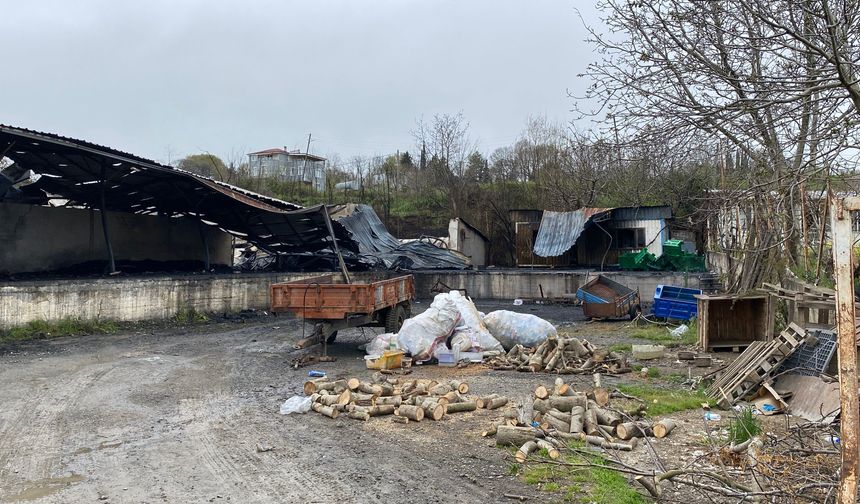 Samsun'da meyve deposunu alevler sardı