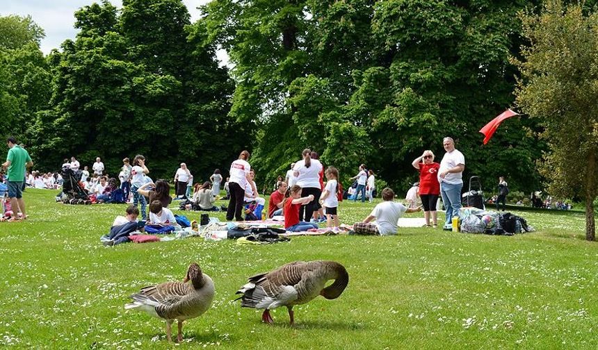 Ankara'da Nerede Piknik Yapılır? Ankara'nın 10 Piknik Yeri
