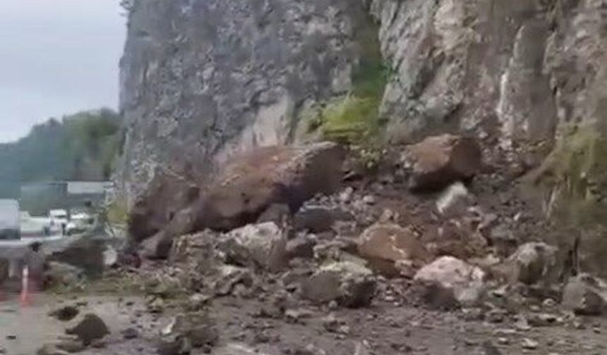 Artvin'de heyelan: 1 TIR zarar gördü