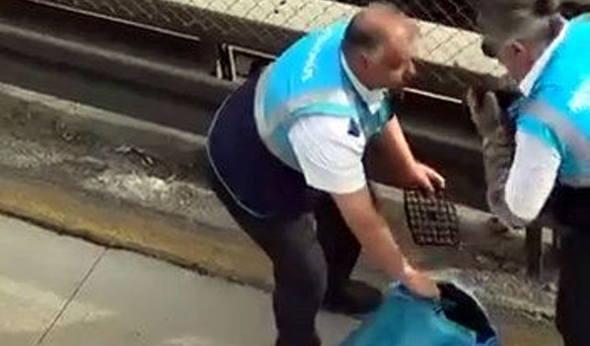 Avcılar’da Bariyerlere Sıkışan Kedi Kurtarıldı