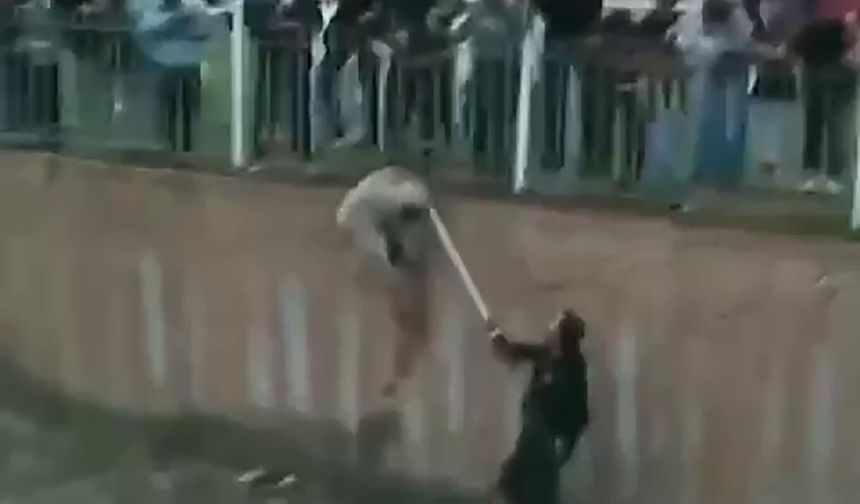 Çaya düşen köpeği, elini ısırmasına rağmen kurtardı